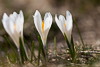 samedi 12 avril 2014