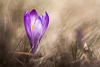 samedi 12 avril 2014