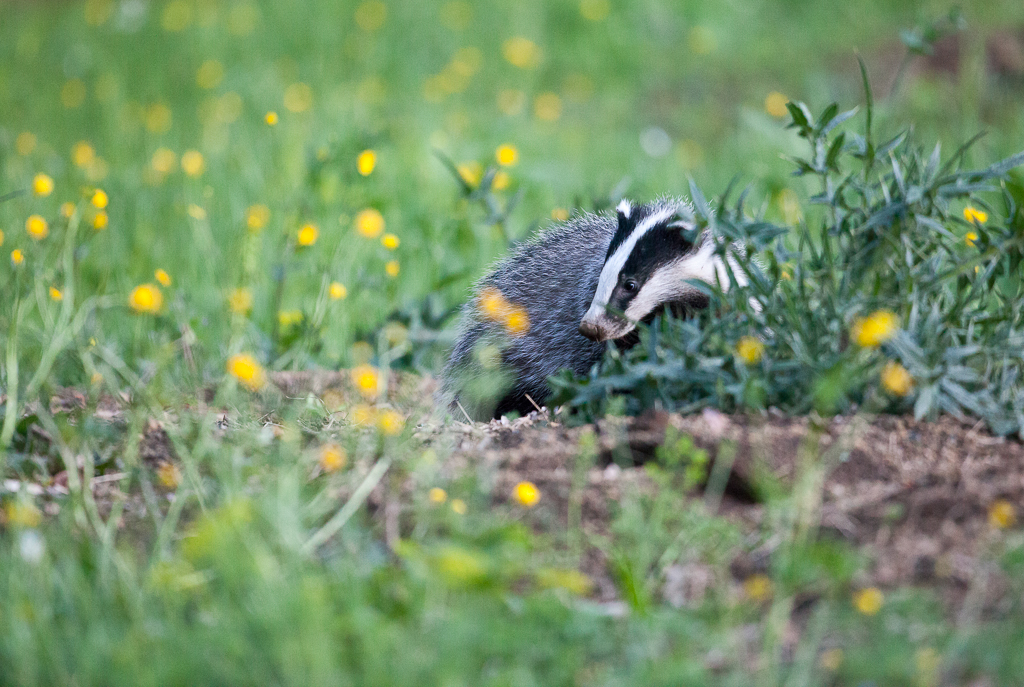 samedi 24 mai 2014